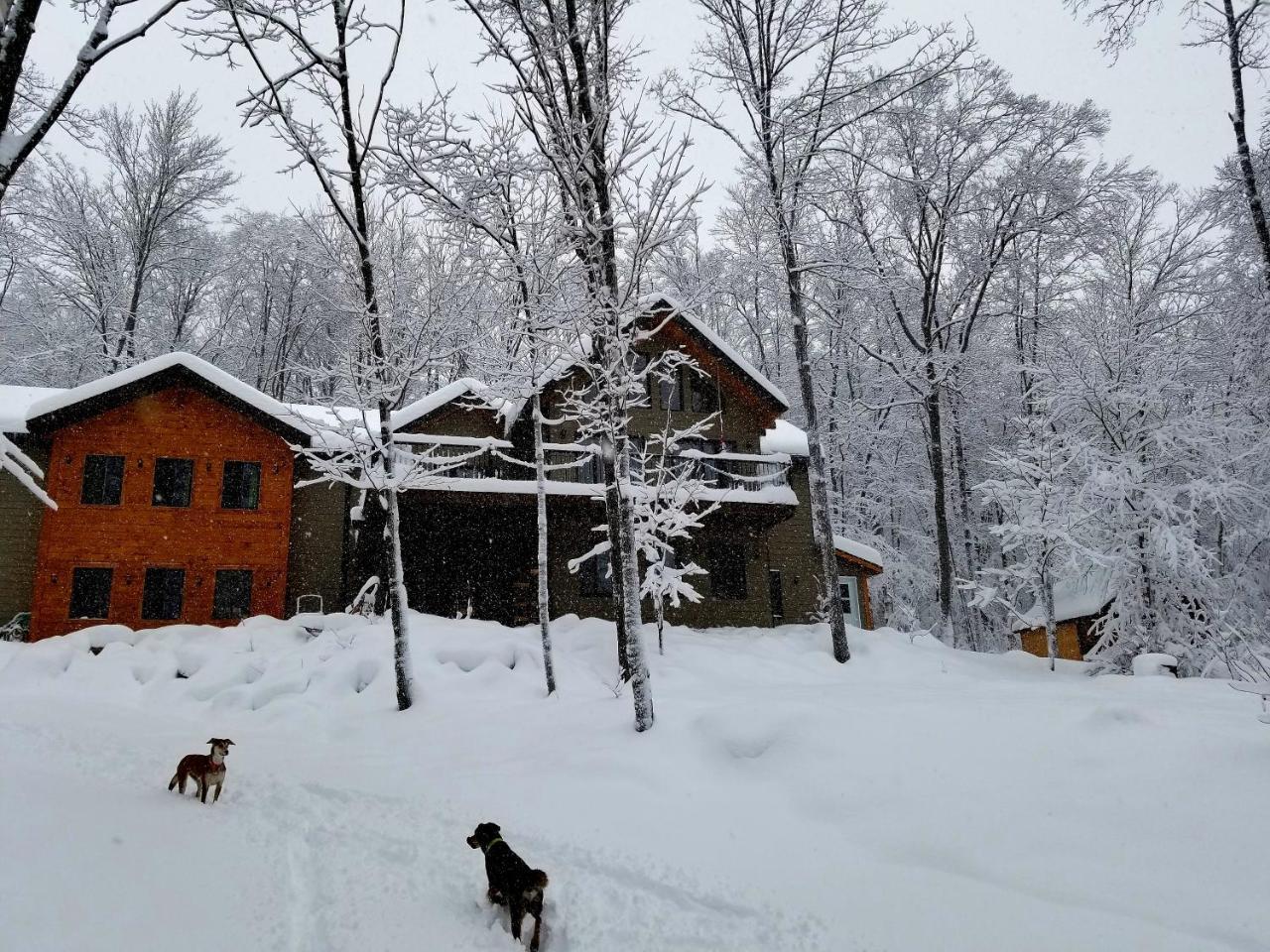 Villa Les cabines Nordik des piles à Saint-Jean-des Piles Extérieur photo