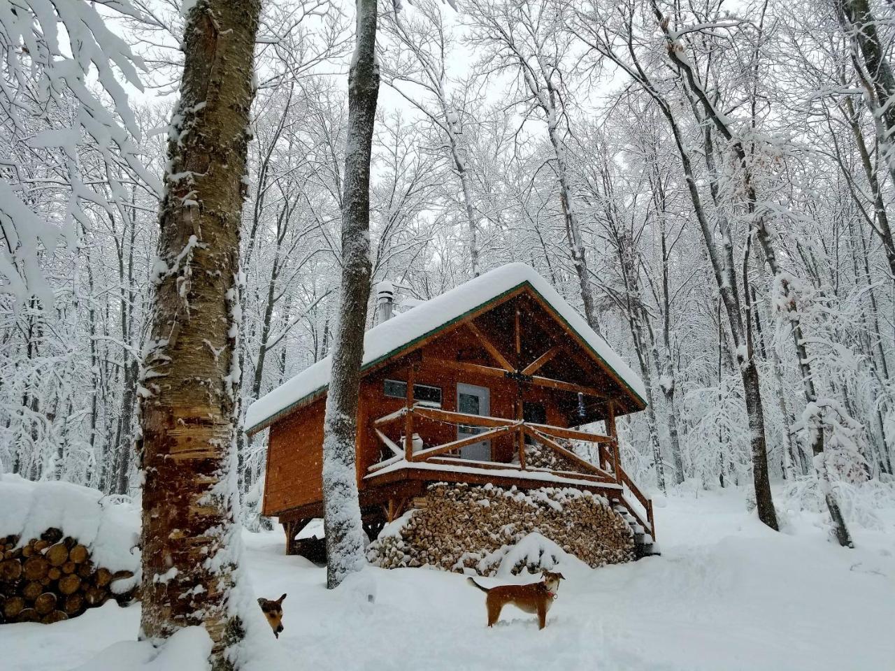 Villa Les cabines Nordik des piles à Saint-Jean-des Piles Extérieur photo