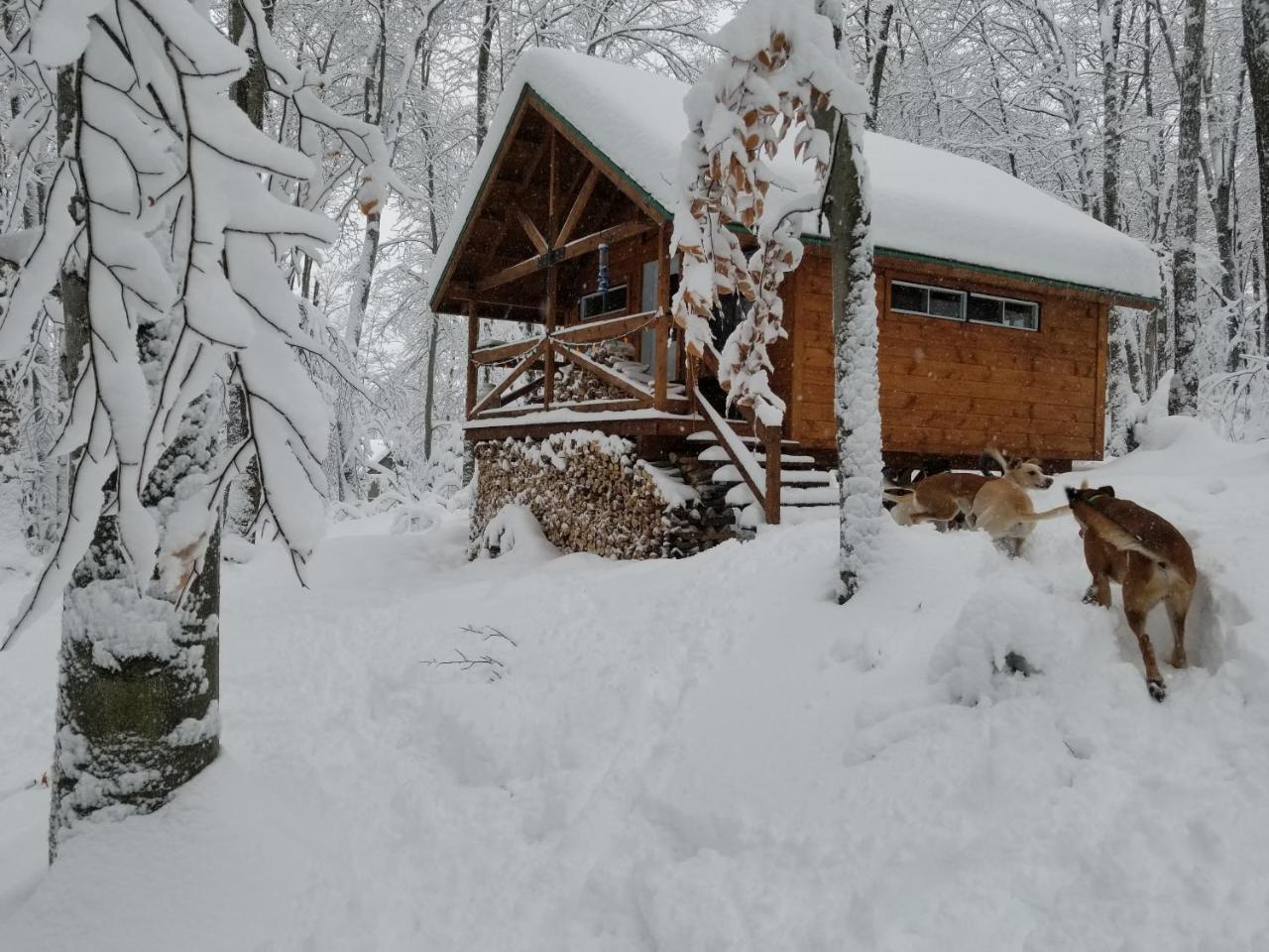Villa Les cabines Nordik des piles à Saint-Jean-des Piles Extérieur photo