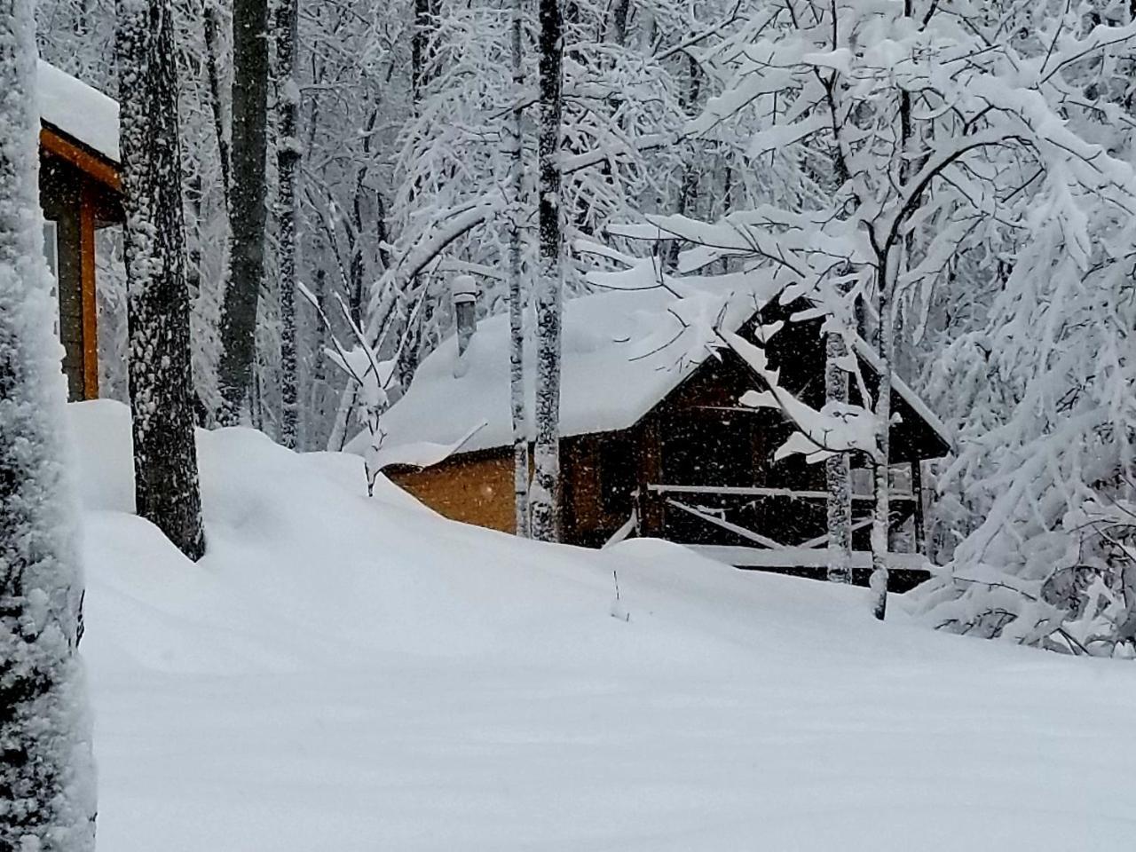 Villa Les cabines Nordik des piles à Saint-Jean-des Piles Extérieur photo