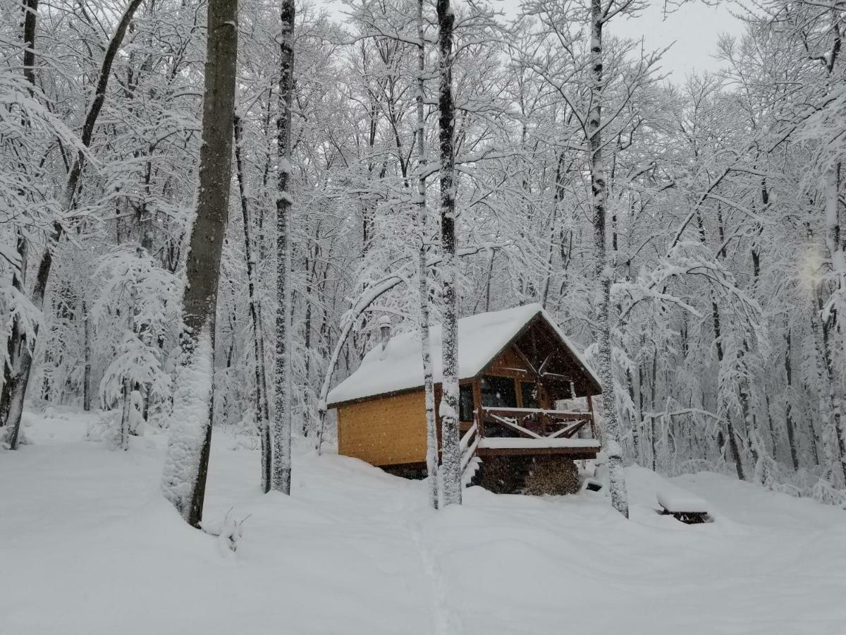Villa Les cabines Nordik des piles à Saint-Jean-des Piles Extérieur photo